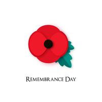 Poppy flower Illustration for Remembrance Day. vector