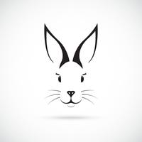 Cute Bunny with big ears.  vector