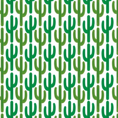 cactus pattern  on white background