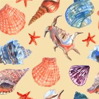 Marine shell seamless pattern vector