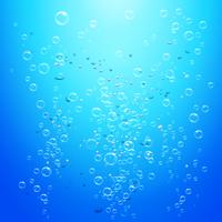 Fondo de burbujas de agua vector