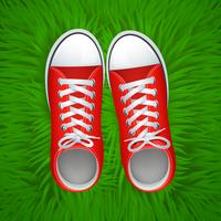 Red Gumshoes Top View vector