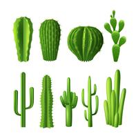 Set Realista Cactus vector