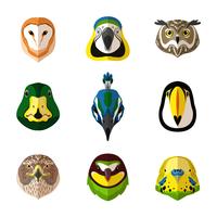 Conjunto de aves silvestres vector