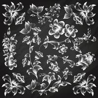 Plantilla de elementos ornamentales florales en blanco y negro vector