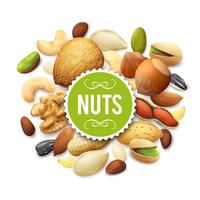 Nut Collection Illustration vector