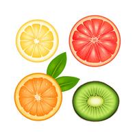 Fruits Top Set vector