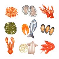 Conjunto de iconos de mariscos vector