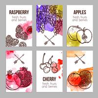 Cards With Fruits vector