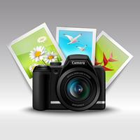 Camera And Pictures vector