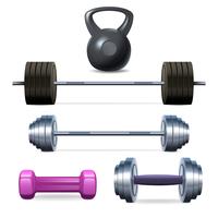 Dumbbells Barbells And Weight vector