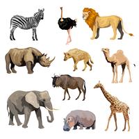 Wild African Animals Set vector