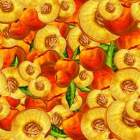 Seamless peach fruit sliced pattern vector