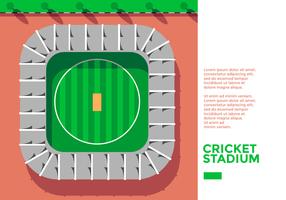 Cricket Stadium Top View Vector