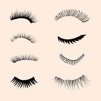 Set Of Eyelashes vector