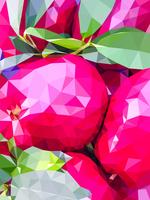 Polygon pink apple vector