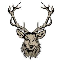 head of deer illustration vector