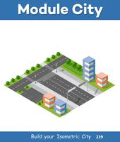 Urban Isometric skyscraper vector