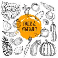 Healthy food collection hand drawn doodle  vector