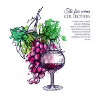 Red Wine With Grape vector