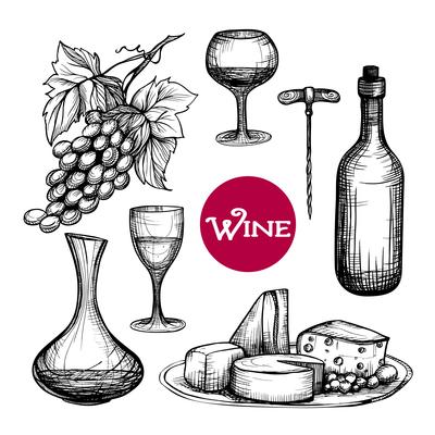 Hand Drawn Wine Set