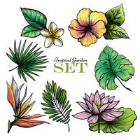 Set de hojas tropicales de color vector
