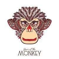 Monkey Color Face vector