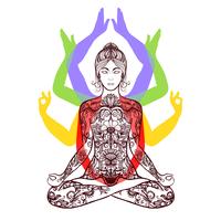 Yoga meditating in lotus asana icon vector