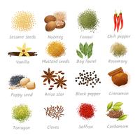 Icons Set Of Spices vector