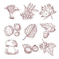 Hand Drawn Autumn Set vector