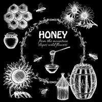 Chalkboard honey set vector