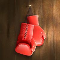 Boxing Gloves On Wall vector