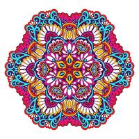 Color Mandala Decorativo vector