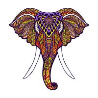 Elephant Head Colored vector