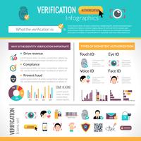 Conjunto de infografías de verificación vector