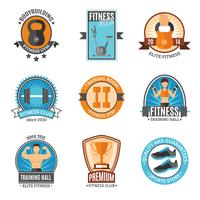 Insignias de gimnasio y gimnasio vector