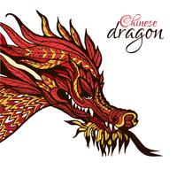 Dragón dibujado a mano vector