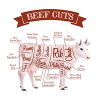 Ilustración de cortes de carne vector