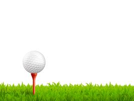 Golf Realistic Illustration  vector