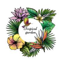 Diseño de marco tropical vector