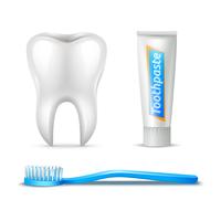 Tooth Brush And Paste vector