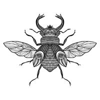 Sketch Decorative Bug vector