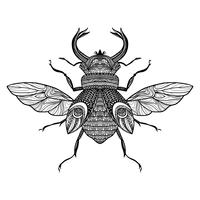 Sketch Decorative Bug vector