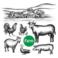 Hand Drawn Farm Set vector