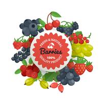 Berries Quality Flat Emblem vector