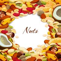 Fondo de mezcla de nueces vector