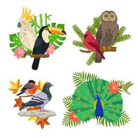 Birds And Flowers Set vector