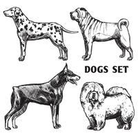 Sketch Dogs Portrait Set vector