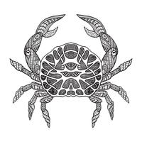 Doodle sketch crab black line vector