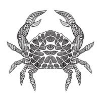 Doodle sketch crab black line vector